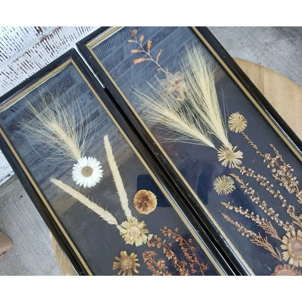 2 ANTIQUE ROCCOCO FRAMED DRIED FLOWER pressed‎ poland victorian oddity wall art